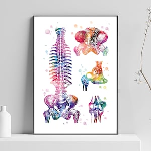 Human body bone poster, anatomy painting, medicine drawing, waiting room decoration, anatomy drawing, physiotherapist gift