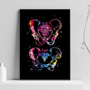 Póster de pelvis, medicina, anatomía, esqueleto humano, huesos, médico, fisioterapeuta, arte quiropráctico, cadera