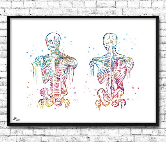 Disegno Anatomia Corpo Umano Medico Regalo Sistema Etsy