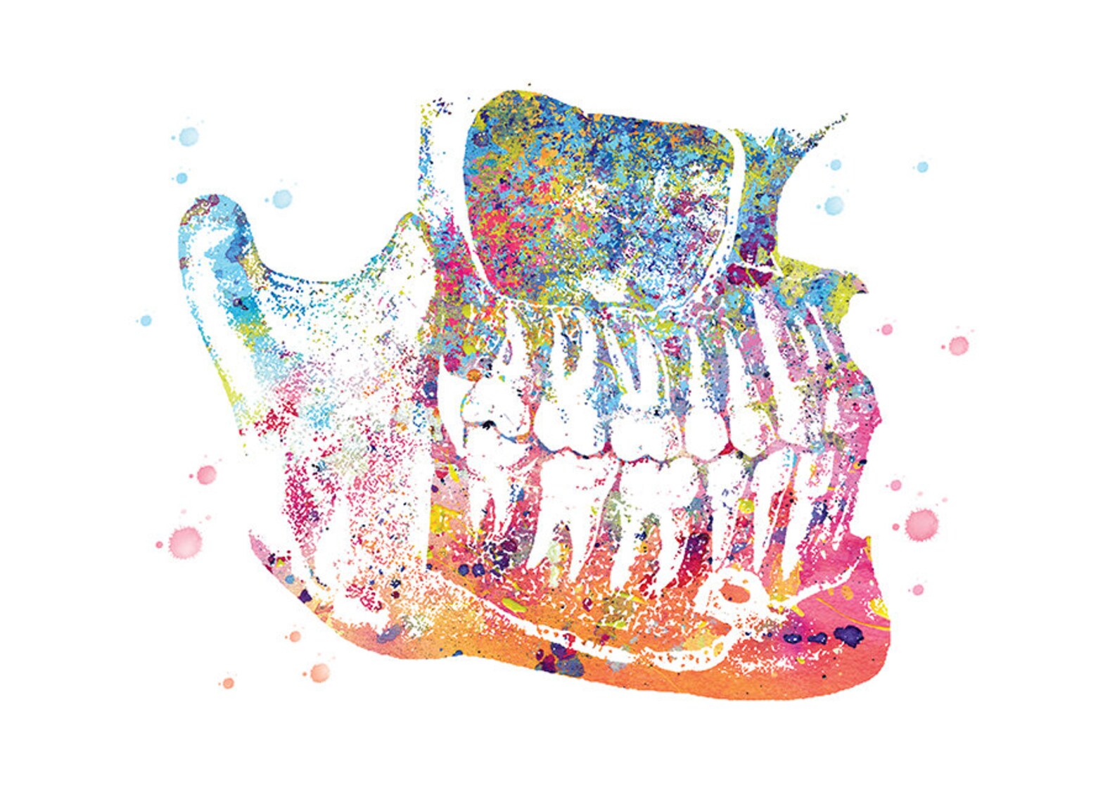 Gift of Dentist Medical Art Dental Practice Dental Art Etsy