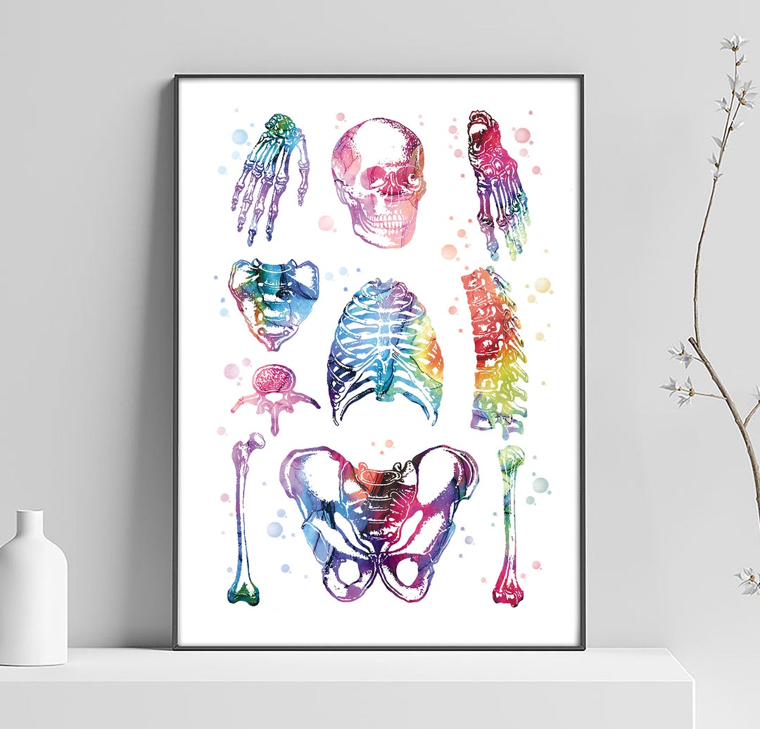 Toile Peinture Cœur Humain Anatomie Vintage - Affiche Art Médical Sans Cadre Pour Bureau Ou Chambre