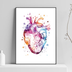 Peut inclure: Une impression encadrée à l'aquarelle d'un cœur humain, présentant un spectre de couleurs vives, notamment le rose, le bleu, l'orange et le violet. L'illustration anatomique présente des veines et des artères détaillées, sur fond blanc.