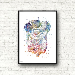 Gastroenterologist gift, Digestive tract poster, medical art, anatomy organs poster, doctor surgeon gift, hospital clinic [434]