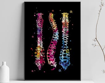 Medical art, spine poster, clinical art, doctor's decor, surgery art, doctor gift, anatomy art
