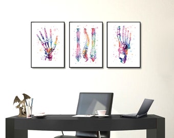 Lot of posters, physiotherapy, osteopath, foot, hand, spine, bone, skeleton, medicine, clinic decoration