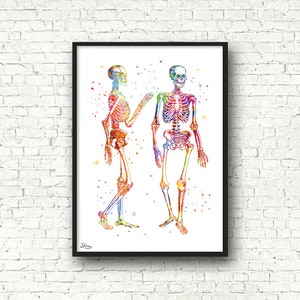 Human body, anatomy, skeleton, waiting room decoration, anatomy, physiotherapist gift