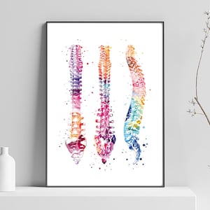 Medical art, spine poster, clinical art, doctor decoration, surgery art, doctor gift, anatomy art