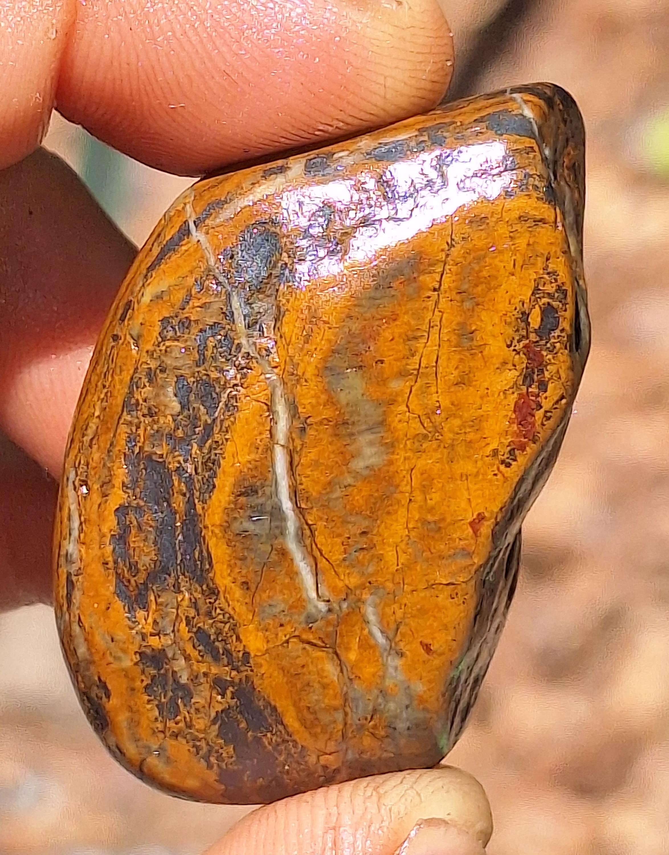 SC89 MAGNETIC Genesis Stone Wyoming BIF Banded Iron Hematite