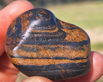C68 MAGNETIC Genesis Stone Wyoming BIF Banded Ironstone magnetite therapy seer stone healing rock wind slick Root Chakra