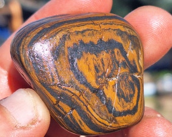 C49 MAGNETIC Genesis Stone Wyoming BIF Banded Ironstone magnetite therapy stone healing rock wind slick Root Chakra