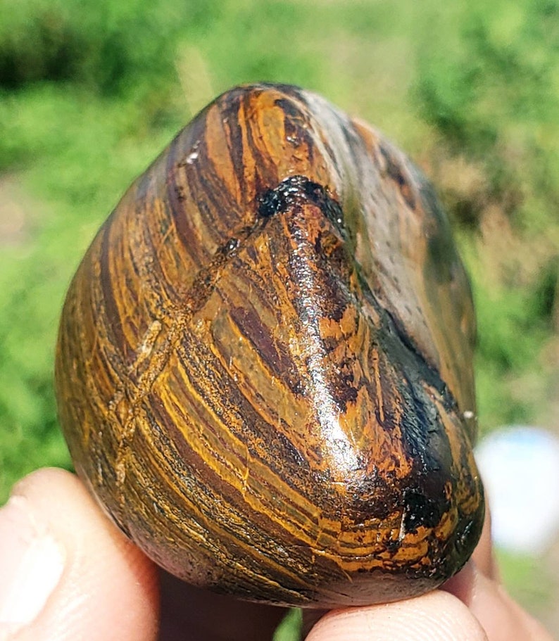 K59 Banded Ironstone Genesis Stone WYOMING BIF Hematite