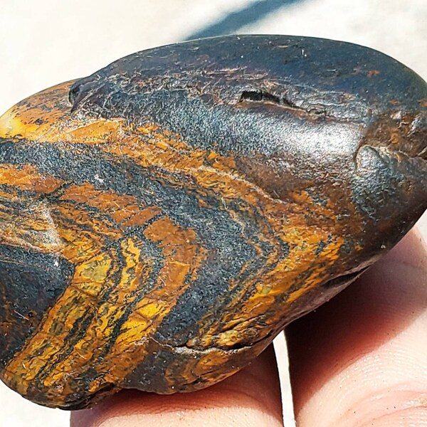 K80 Magnetic Banded Iron stone Genesis Stone WYOMING BIF Hematite Magnetite muddle stone therapy Chakra