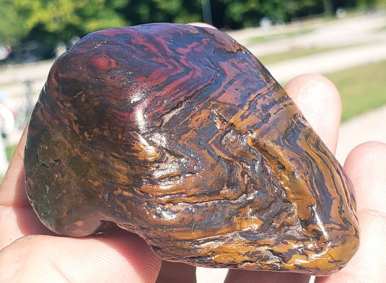 Z.13 Jasperite BIF Banded Ironstone Genesis Stone Etsy