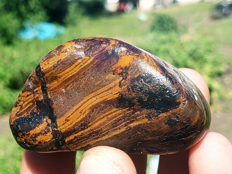 K59 Banded Ironstone Genesis Stone WYOMING BIF Hematite
