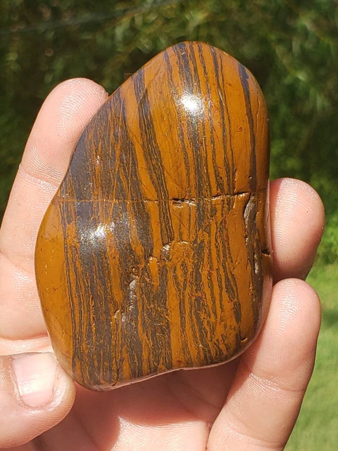 K.28 Banded Ironstone Genesis Stone WYOMING BIF Etsy