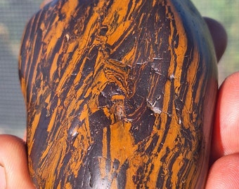 MAGNETIC Genesis Stone A35 Wyoming BIF Banded Ironstone magnetite therapy stone healing rock wind slick Root Chakra
