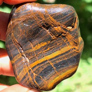 May include: A polished, naturally shaped stone with a striking pattern of dark brown, black, and golden-yellow bands. The stone's surface is smooth and reflects light, showcasing its unique mineral composition and natural beauty.