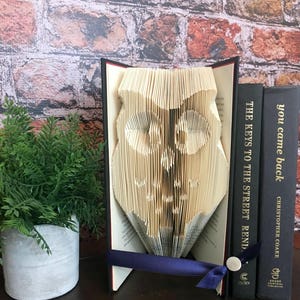 Owl Decor, Owl Lover Gift, Folded Book Art, Owl Nursery Decor, Book Art, Owl Gift, Christmas Gift for Her image 4