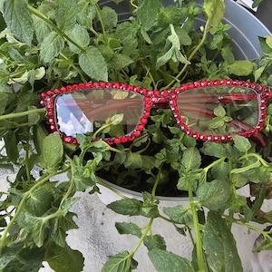 May include: Red rhinestone glasses with a square frame. The glasses are sitting on top of a pot of green plants.