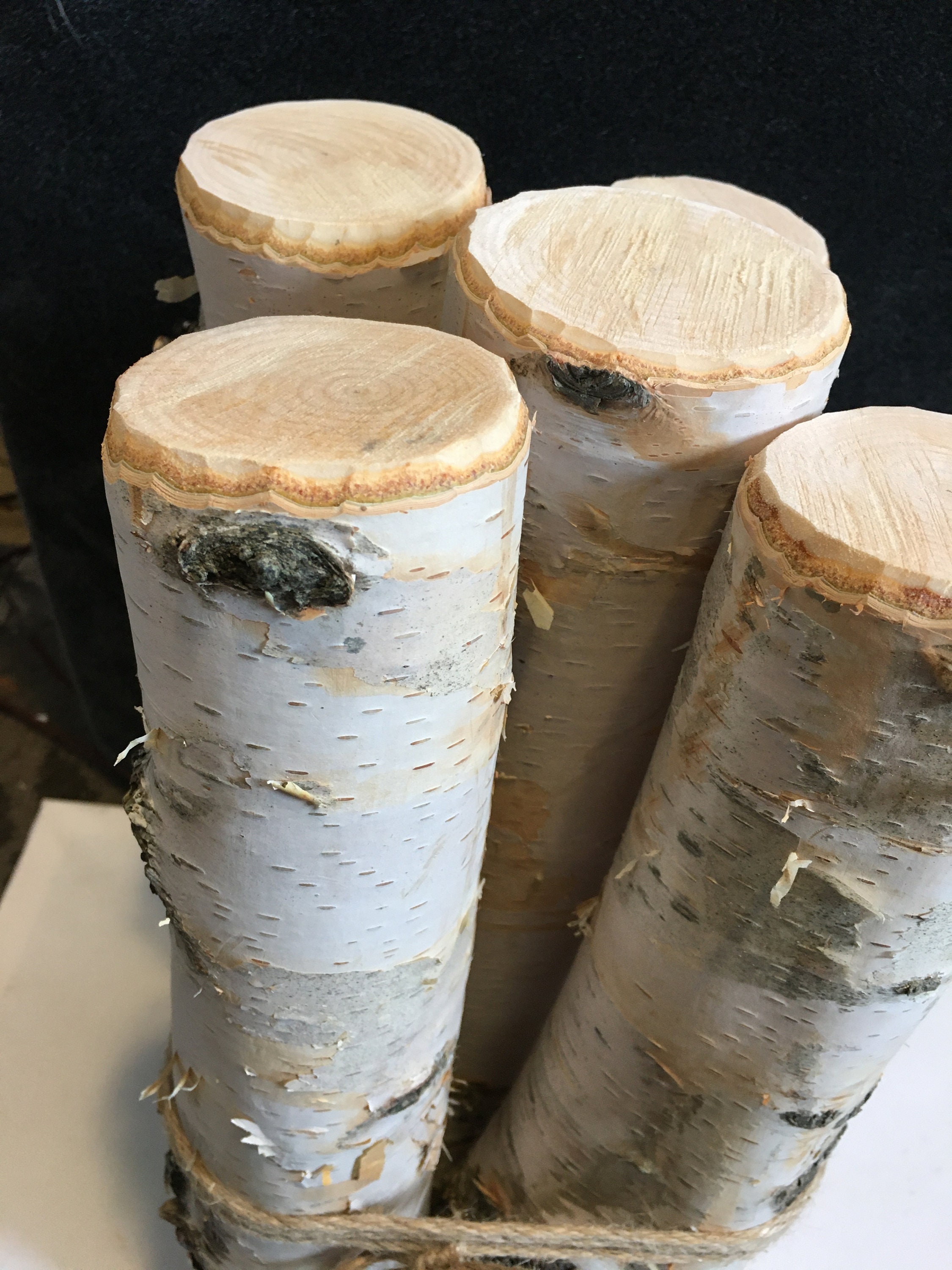 White Birch Logs 