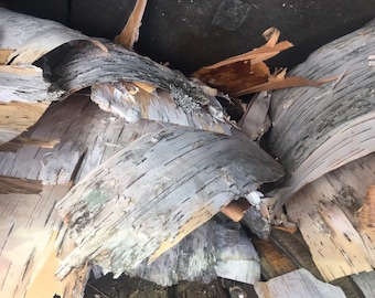 Natural Birch Bark Sheets for Crafts, Rustic Decor, Candle Holders (Approx. 5 sq ft)