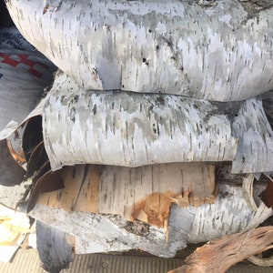 May include: A stack of birch bark, with the top piece curved and the bottom pieces broken into smaller pieces. The bark is white with black markings.