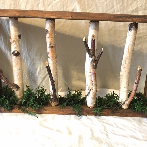 Branch Wall Coat Rack Etsy Canada