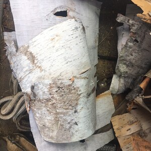 May include: A close-up of a pile of birch bark, showing the natural white and brown colors and the unique texture of the bark. The bark is in various shapes and sizes, some of which are curled and rolled.