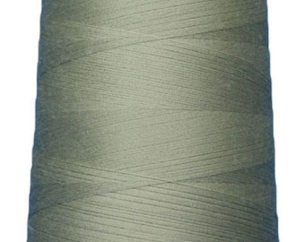 Omni Polyester Thread 40wt 6000yd Light Sage By Superior Threads