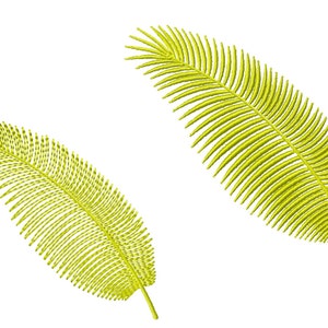 May include: Two yellow palm leaves with a detailed, feathery texture. The leaves are isolated against a white background.