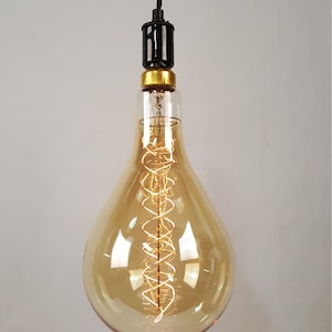 May include: A gold-toned Edison bulb with a coiled filament hangs from a black cord. The bulb is clear and has a teardrop shape.