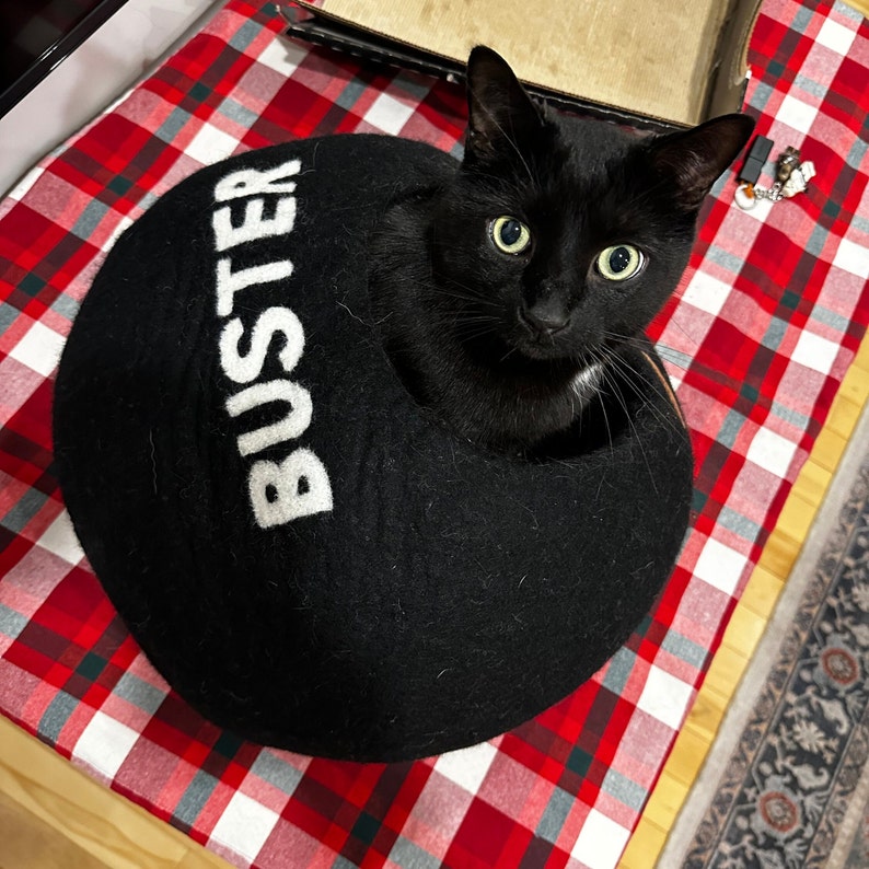 PERSONALIZED Cat Bed Natural Organic Merino Felt Wool SOFT, Wholesome, Cute 1 BEST Modern gift Cave Handmade Round Style image 4