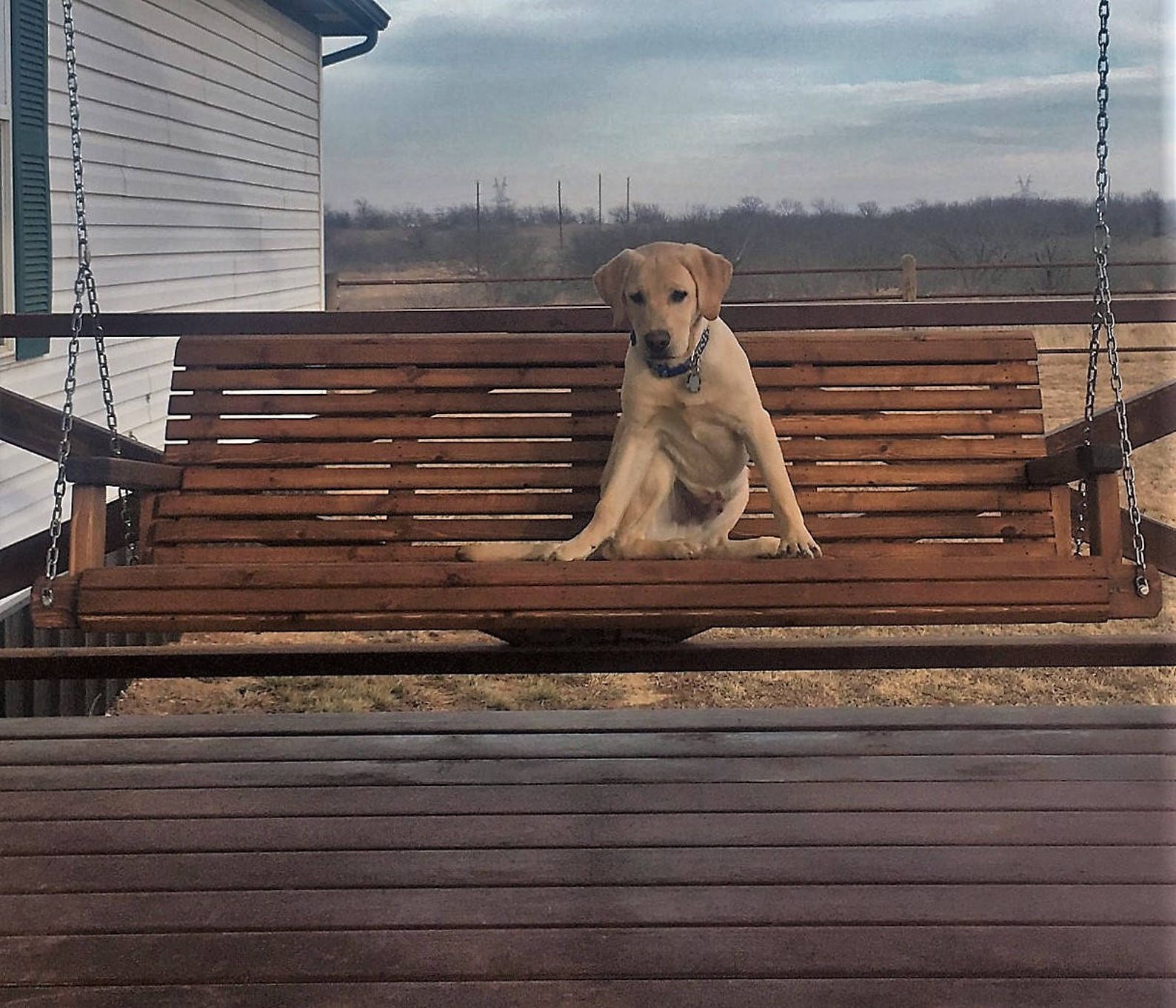 6ft Cedar Porch Swing Custom Outdoor Wood Furniture Oversize Etsy