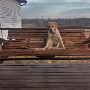 6ft Cedar Porch Swing, Custom Outdoor Wood Furniture, Oversize Swing for Family Canyon Brown
