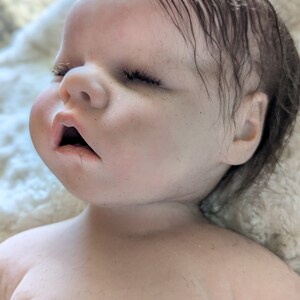 May include: A realistic baby doll with closed eyes and wet-looking brown hair. The doll is made of silicone and has a lifelike appearance.