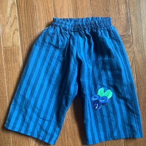 May include: Blue and dark blue striped pants with an elastic waistband. The pants feature an embroidered patch of three blueberries with two green leaves on the lower right leg. The fabric has a vertical striped pattern throughout the garment.