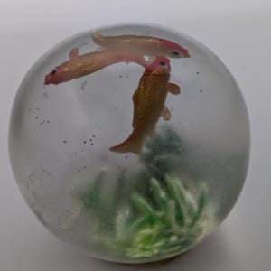 Puede incluir: Un pisapapeles esférico transparente que contiene tres pequeños peces dorados y plantas de plástico verde. Los peces tienen detalles rojos y parecen nadar en el líquido transparente. Sobre un fondo blanco.