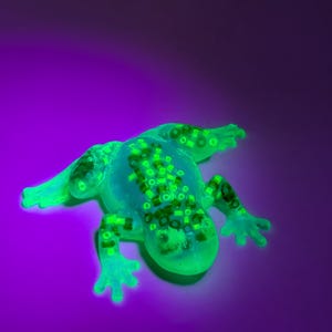 May include: A glowing green lizard-shaped figurine with a translucent body and green beads inside. The figurine is on a purple background, and the lighting gives it a neon effect. The lizard has outstretched limbs and a detailed design.
