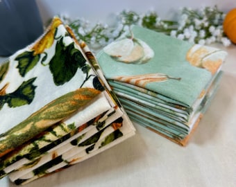 Fall Gourds Eco Friendly Reusable Paper towel, Cozy Simple Living Tea Towel, Cottage Core Washable Paper towel, Sustainable Washcloth