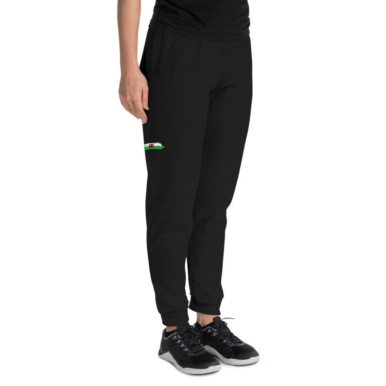Unisex Joggers Hand Painted Brush Stroke Design of the Welsh Flag The Proud Flag of the Wales!
