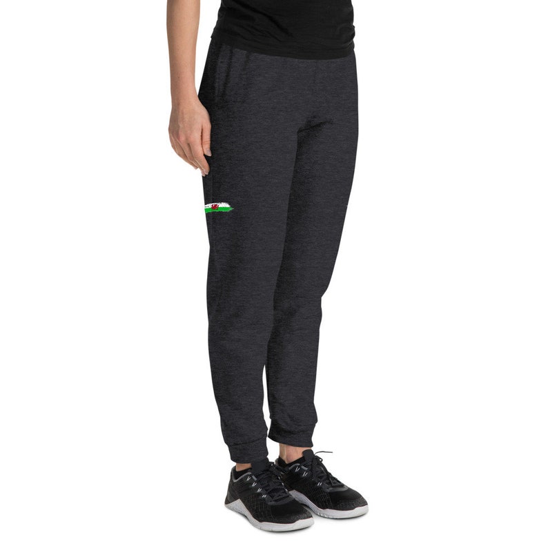 Unisex Joggers Hand Painted Brush Stroke Design of the Welsh Flag The Proud Flag of the Wales!