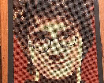 Realistic Perler Bead Paintings Harry Potter Perler Bead Art