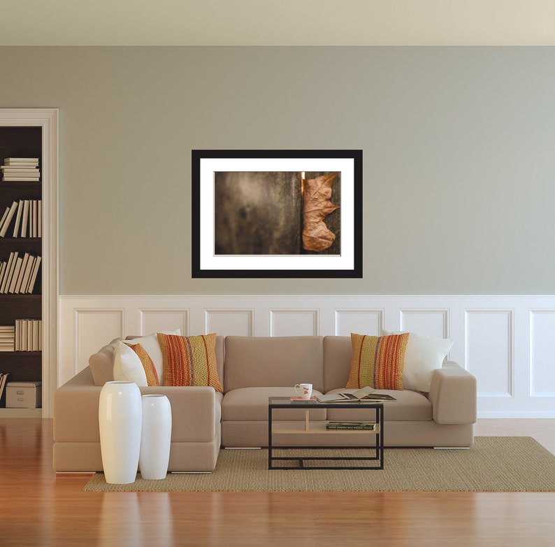 Macro Photography Fine Art Wall Print Nature Leaves Etsy