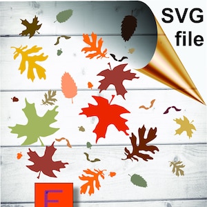 Fall Leaves SVG: Maple Leaf Clipart, Acorn Image (Digital Download)