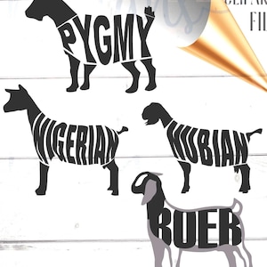 Fichier de coupe SVG de races de chèvre : clipart ferme pour Cricut (téléchargement numérique)