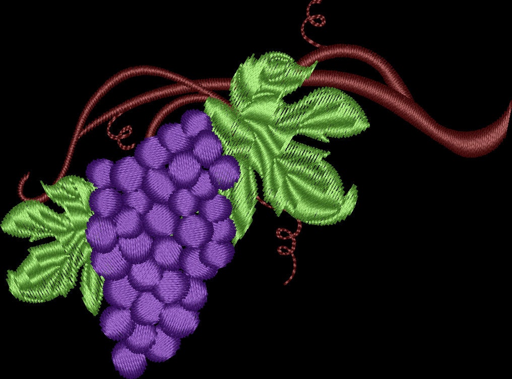 Grapevine embroidery design file. Grapes hanging from a vine Etsy