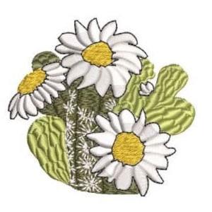 May include: White daisies with yellow centres and green cactus plants. The daisies are clustered together and the cactus plants are behind them.