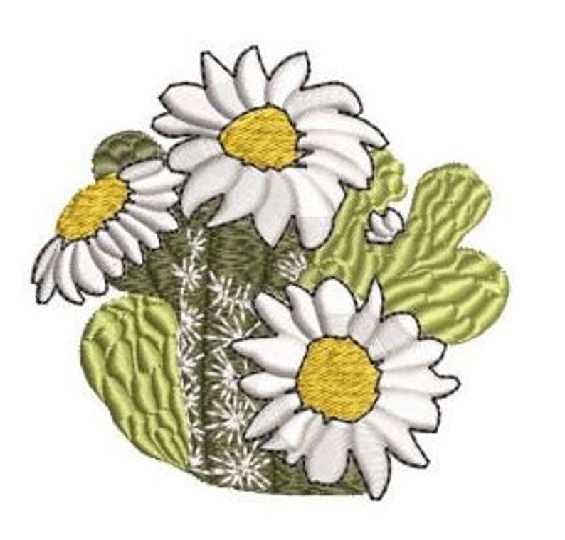 May include: White daisies with yellow centres and green cactus plants. The daisies are clustered together and the cactus plants are behind them.