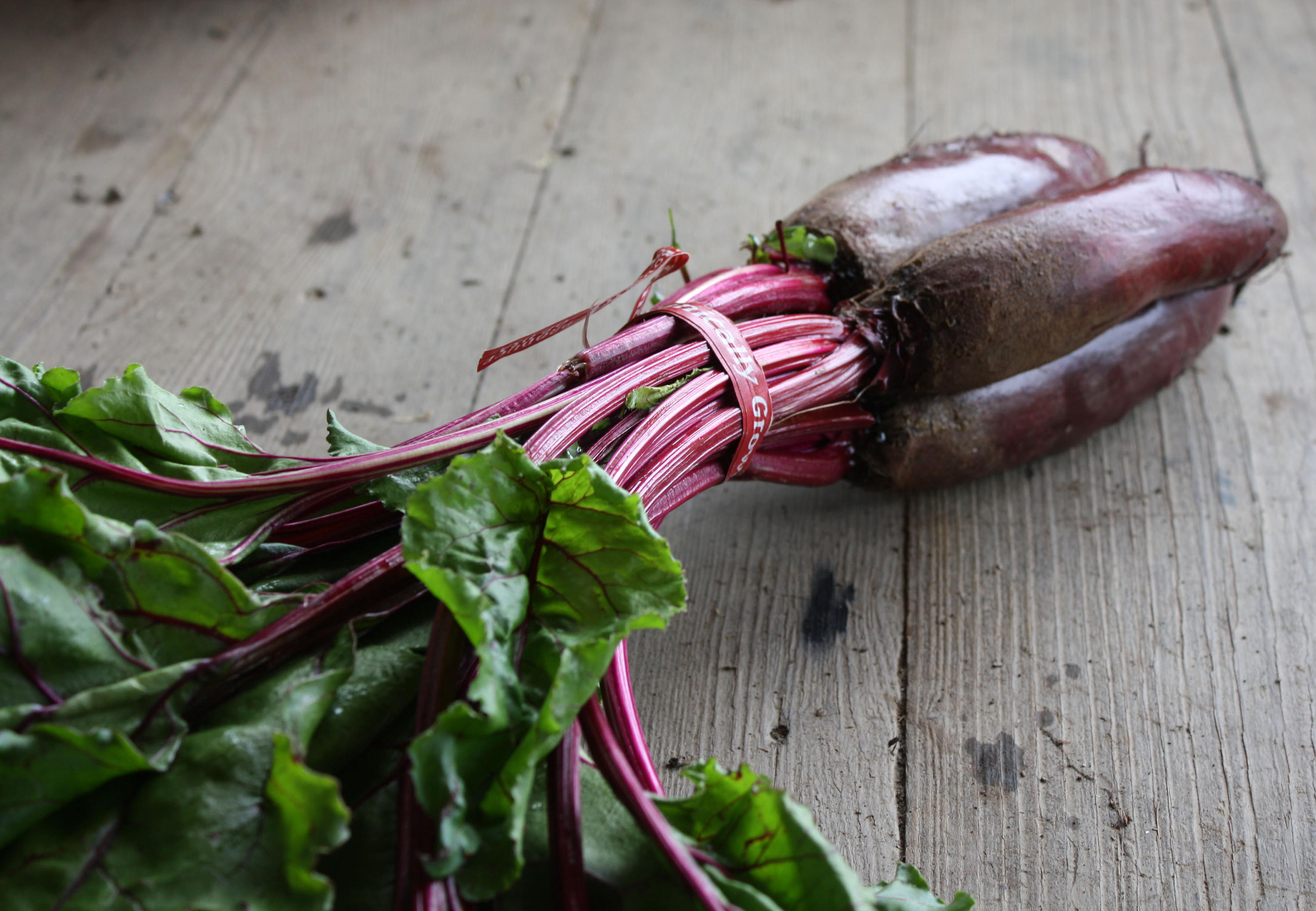 20 Graines de Betterave Forono, Longue et Cylindrique, à La Chair Rouge Foncée Bien Sucrée, Pour Ric