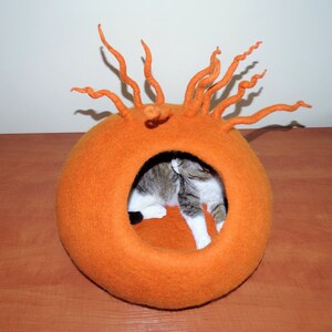 Peut inclure: Un lit pour chat en feutre orange vif avec un design unique et piquant. Un chat est enroul&eacute; &agrave; l'int&eacute;rieur du lit.